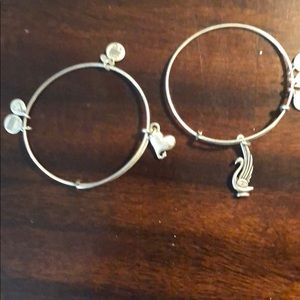 Alex & Ani Silver